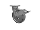 120SE08251S-01FBG Albion Swivel Caster