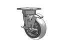 120XR06201SFBD Albion Swivel Caster