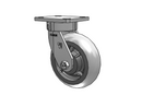 120XR06251S Albion Swivel Caster