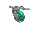 18PM05228SL Albion Swivel Caster