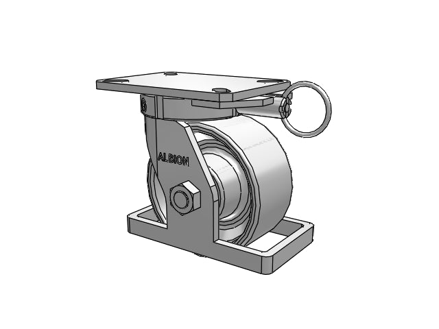 310CA06501SPATPTOL Albion Swivel Caster