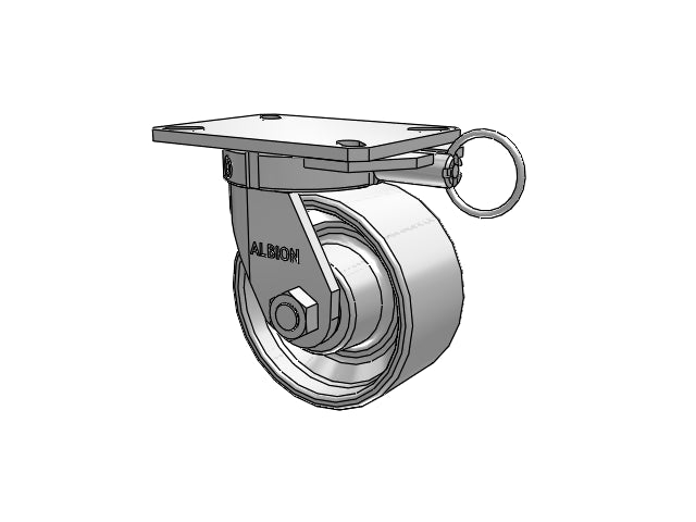 310CA06509SPATPL Albion Swivel Caster