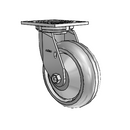 4.06109.5F1 SS TG1 Colson Stainless Steel Swivel Caster