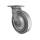 4.08199.451 SS TG1 Colson Stainless Steel Swivel Caster