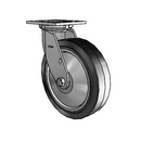 4.08199.459.2 SS TG2 Colson Stainless Steel Swivel Caster
