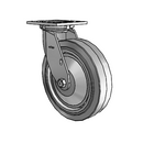 4.08199.459 SS TG1 Colson Stainless Steel Swivel Caster