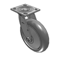 4.08199.5P5 TG2 Colson Caster