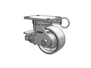 410CA06509SPL Albion Swivel Caster