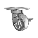 6.05289.4F1 MTG4 BRK3 Colson Kingpinless Swivel Caster