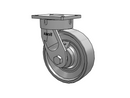 600FH10509S Albion Caster