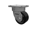 610FM06501S Albion Caster