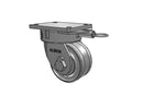 610VF06501SL Albion Caster