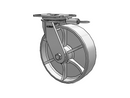 81CA10501SL Albion Caster