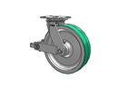 81PD12501SP Albion Caster