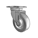 PGS40120ZN-FMT32(GG) Shepherd Swivel Caster