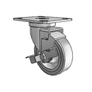 PGS40149ZN-FMT11(GG)TB Shepherd Swivel Caster